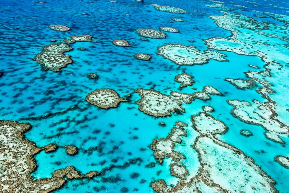 Velký korálový útes u Austrálie