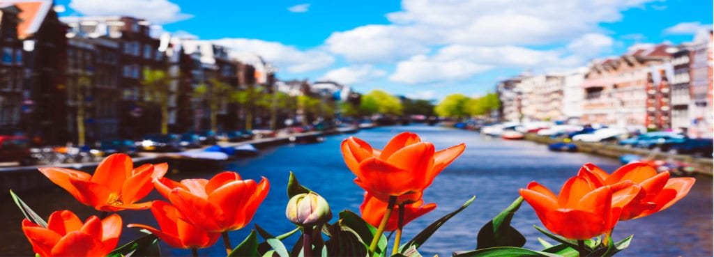 Tulipány na mostě v Amsterdamu.