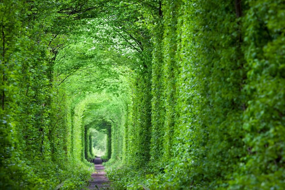 Zelený tunel na Ukrajině