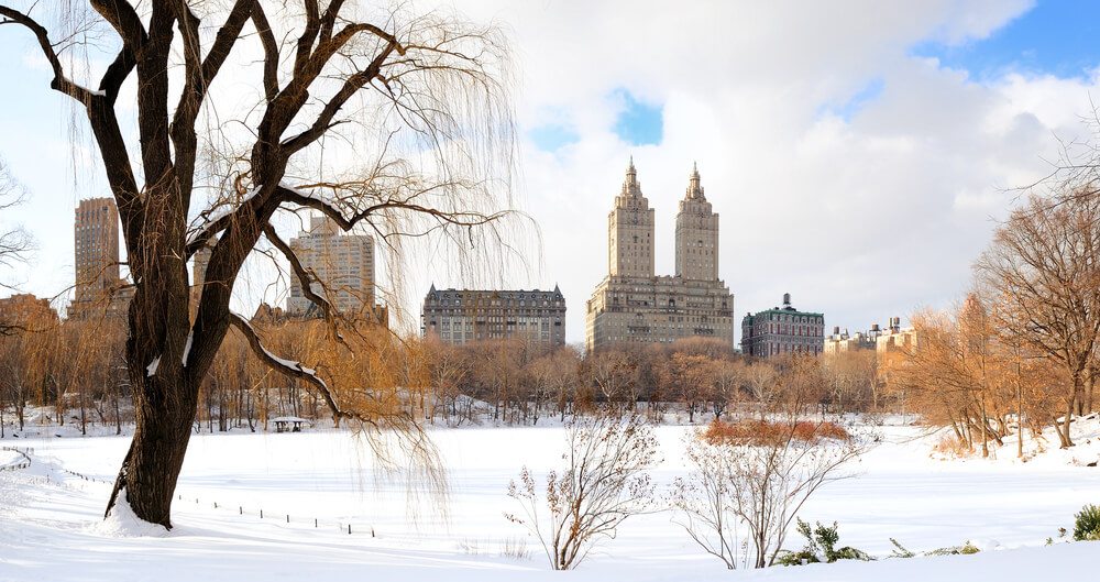 Zasněžený Central Park