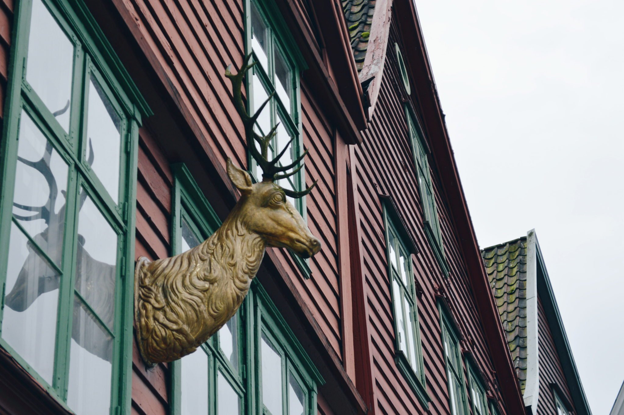Dřevěná socha jelena na jednom z domů v Bryggenu