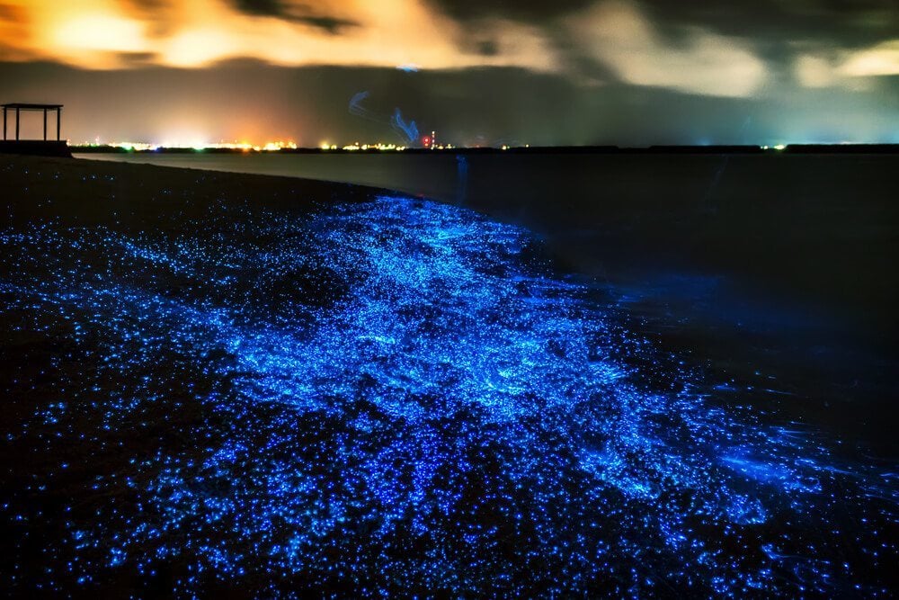 Bioluminiscentní plankton na Maledivách.