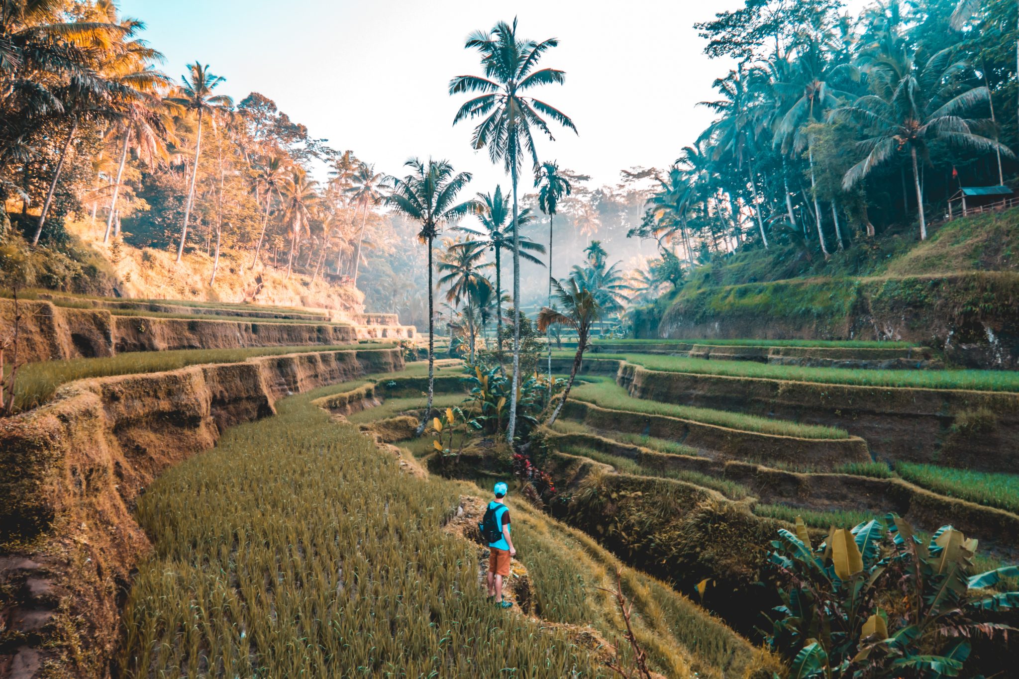 Bali plantáž