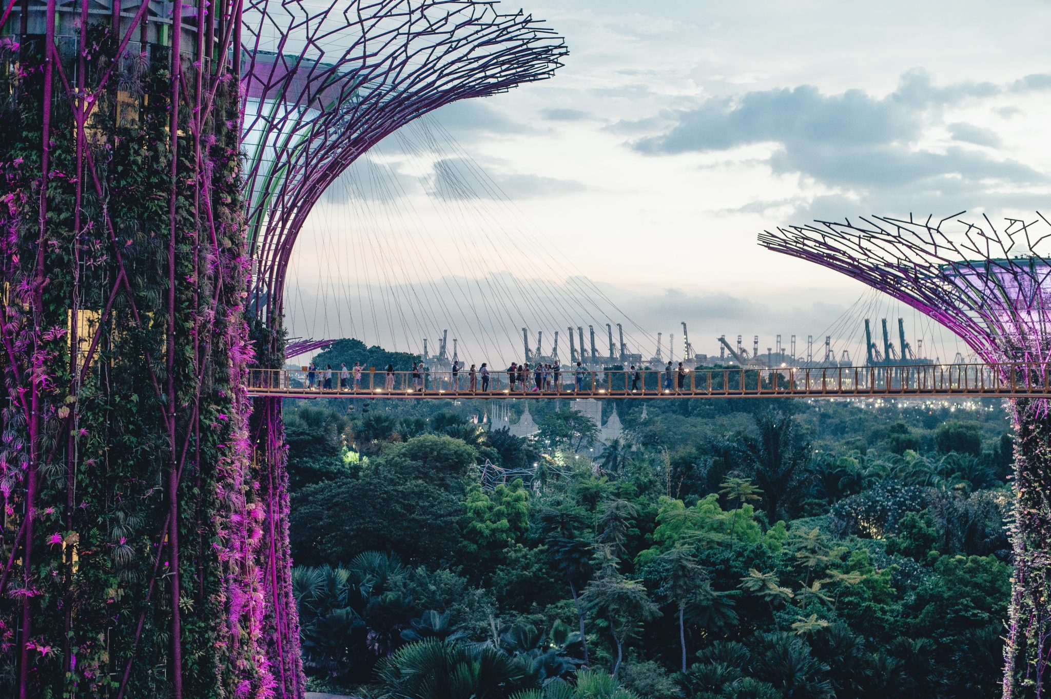 Zahrady v Singapuru