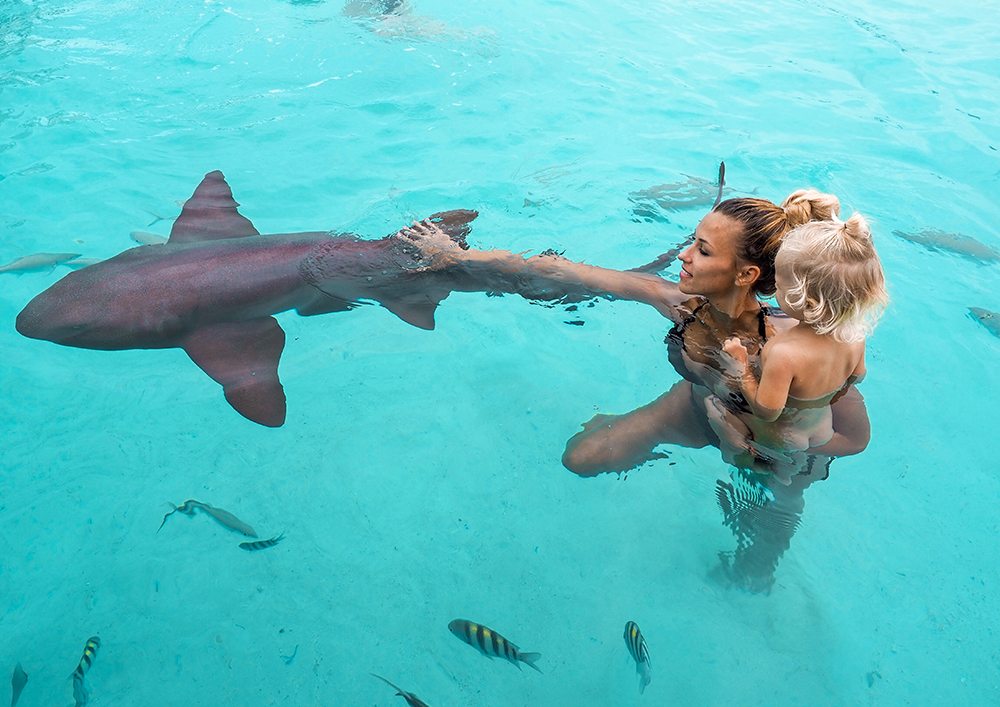 Žraloci na Bahamách.