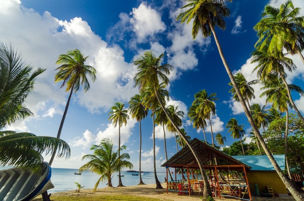 Kolumbijské pláže s palmami.