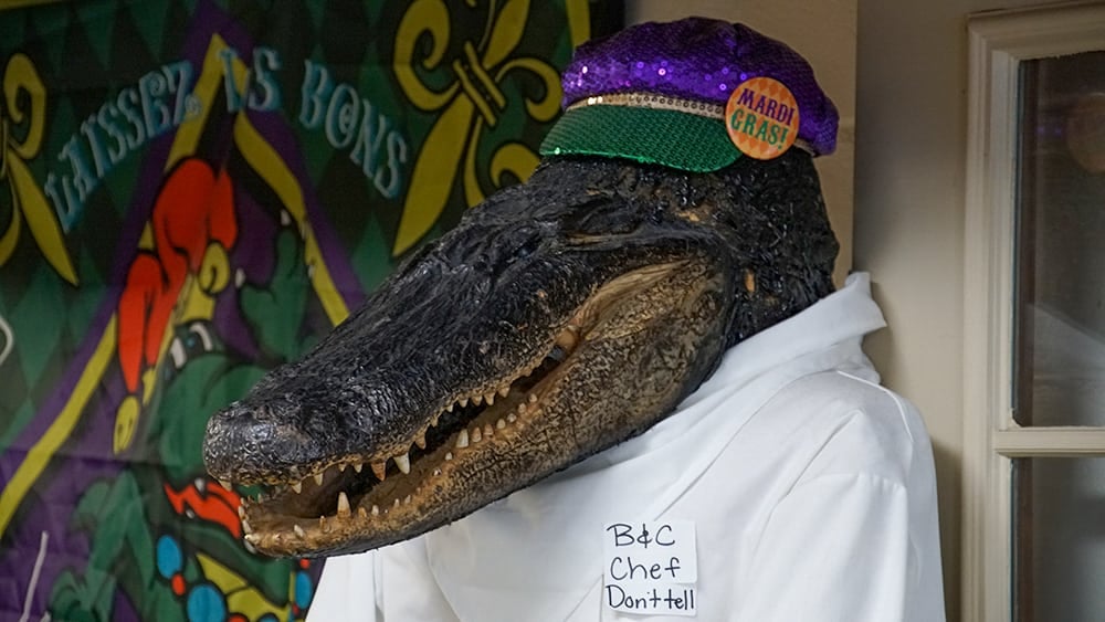 Hlava aligátora v obleku kuchaře.