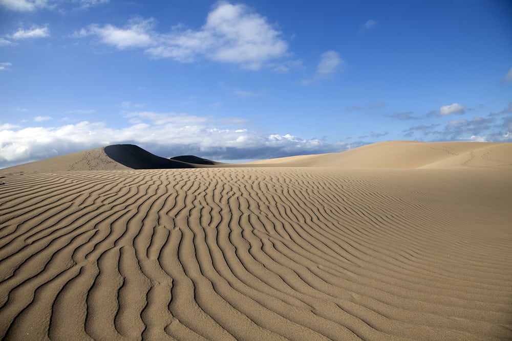 Písečné duny ve městě Maspalomas.