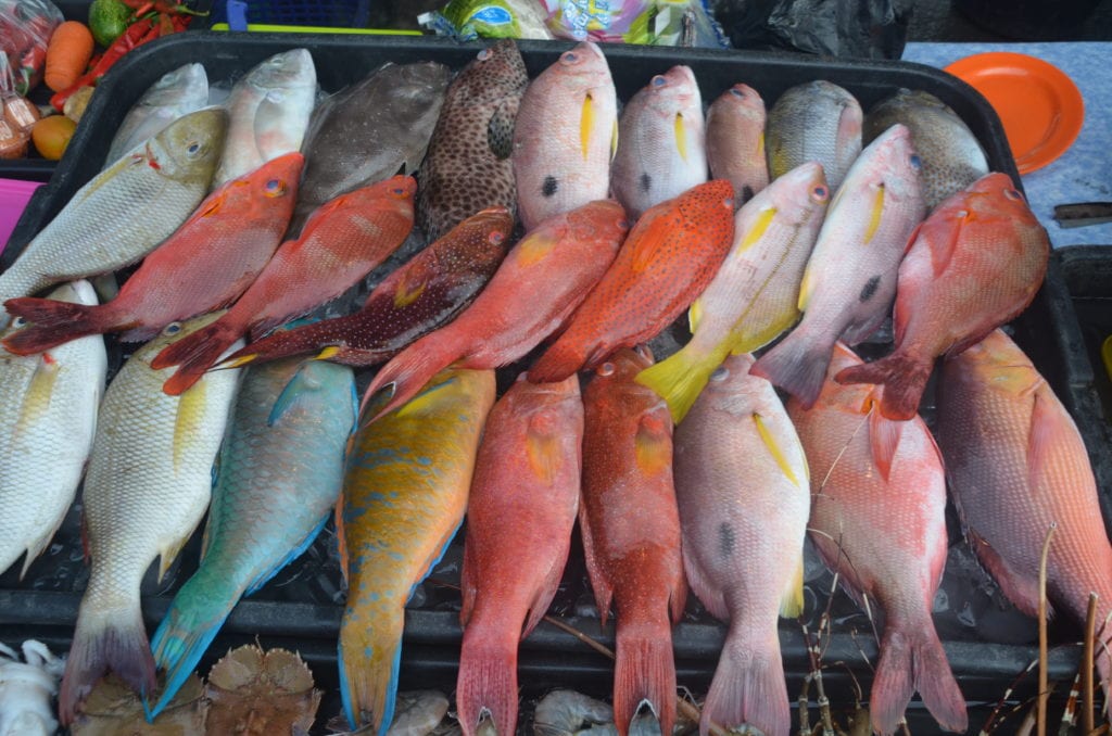 Filipínský trh s rybami v Kota Kinabalu na Borneu