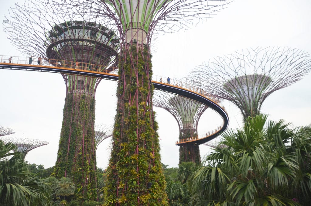 V Singapuru se snaží propojit moderní architekturu s přírodou 