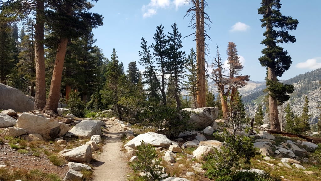 High Sierra v Kalifornii v Americe