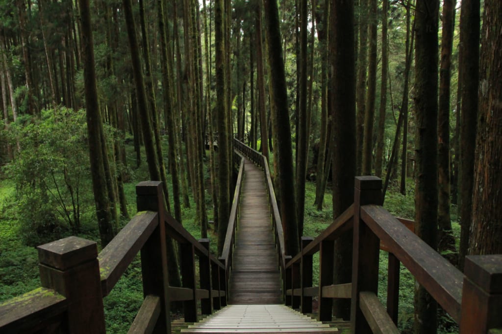 Dřevěné schodyv Alishan Siding Yunhai v Taiwanu
