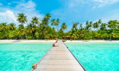 Maledivy - dřevěné molo a palmy