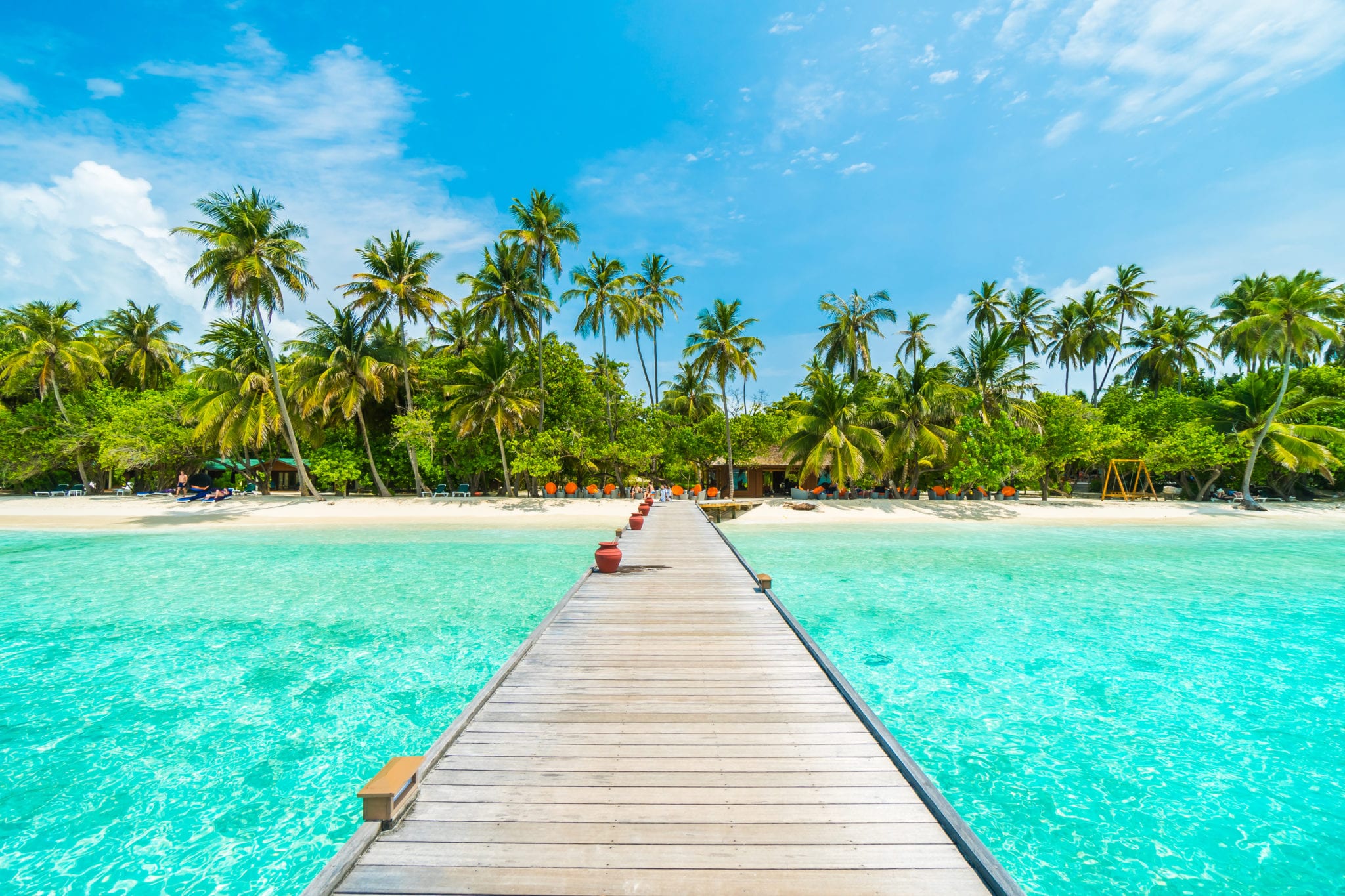 Maledivy - dřevěné molo a palmy