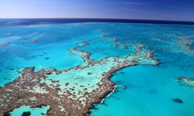 Velký korálový útes