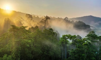 Borneo