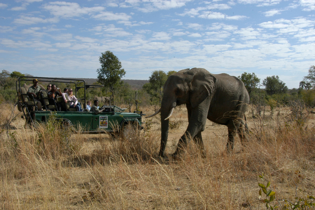 Safari v parku Chobe