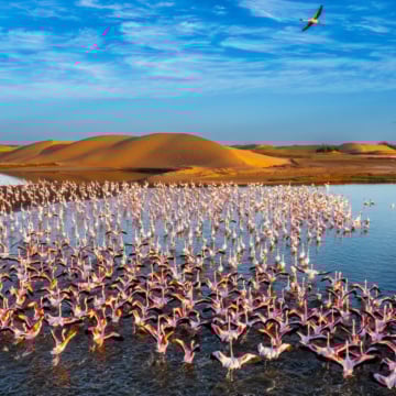 9 překvapení, která v sobě skrývá Namibie