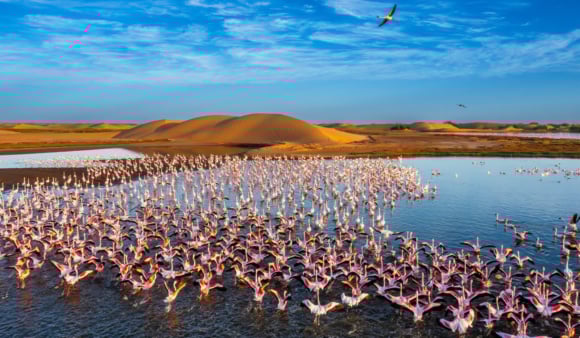 pecky-600x900 (31) 9 překvapení, která v sobě skrývá Namibie