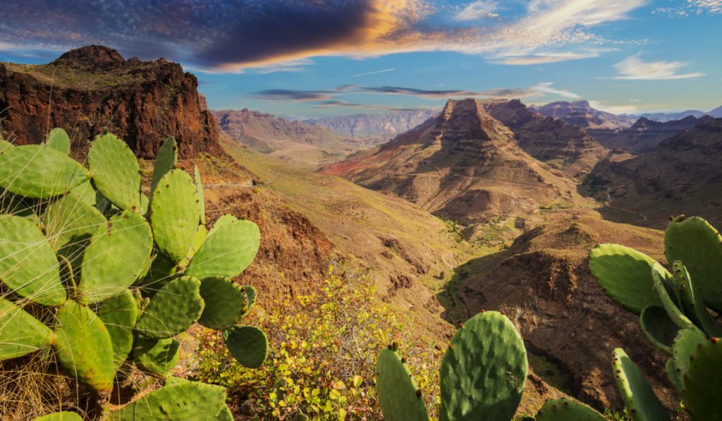 Gran Canaria