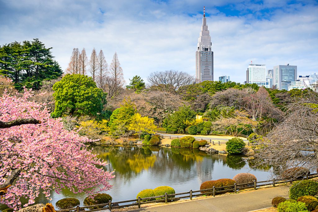 Tokio park