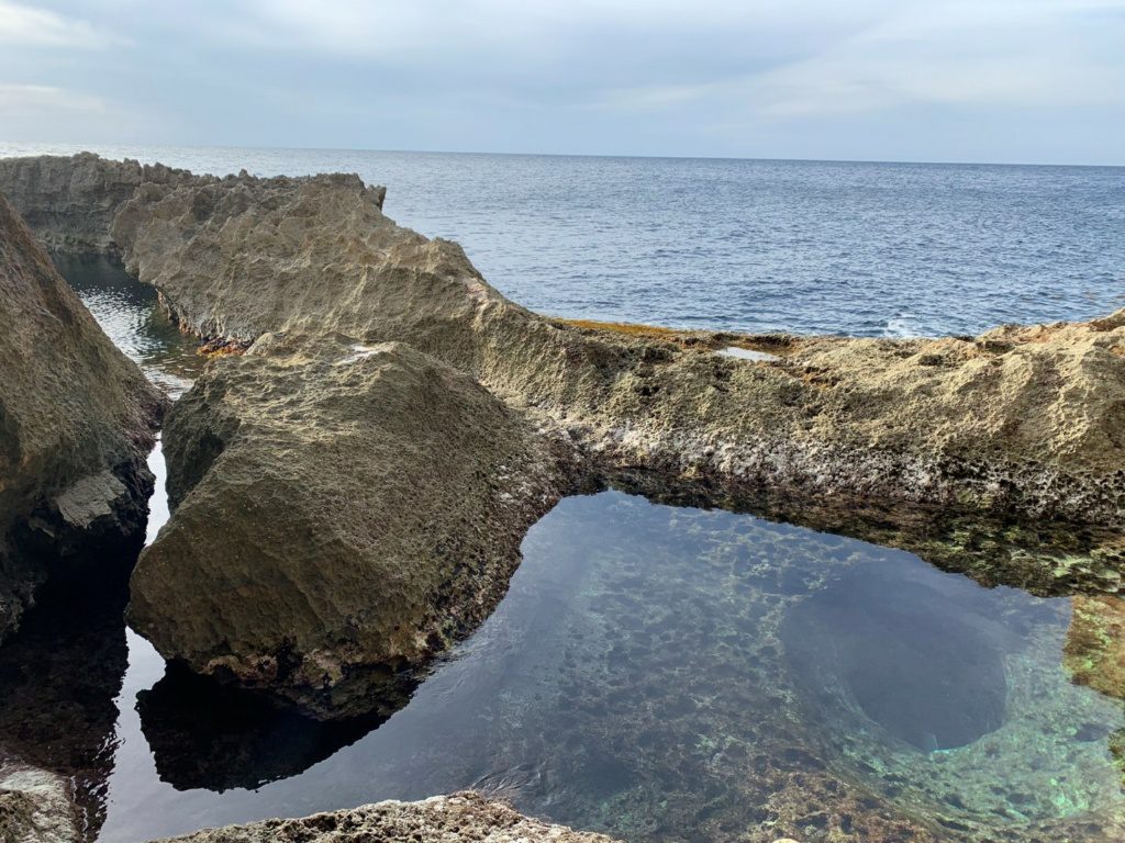 Gozo skalky