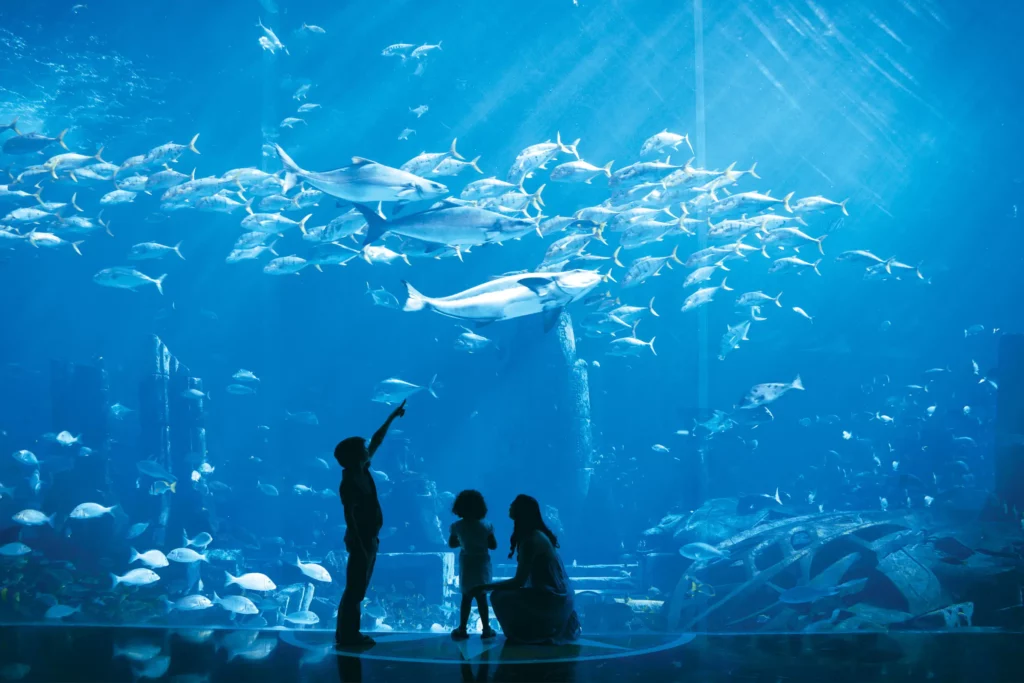 Akvárium v hotelu Atlantis