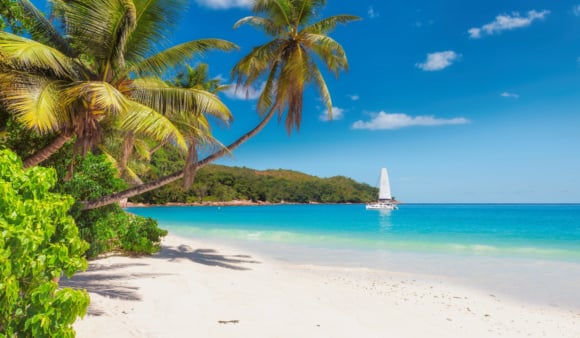 pecky-clanek-uvodni-fotka - 2025-11-28T121637.014 Exotika s Air Canada od 13 590 Kč: Trinidad & Tobago, Belize, Cancún, Svatá Lucie a další.